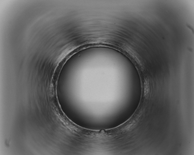 X0000103240876200809041044