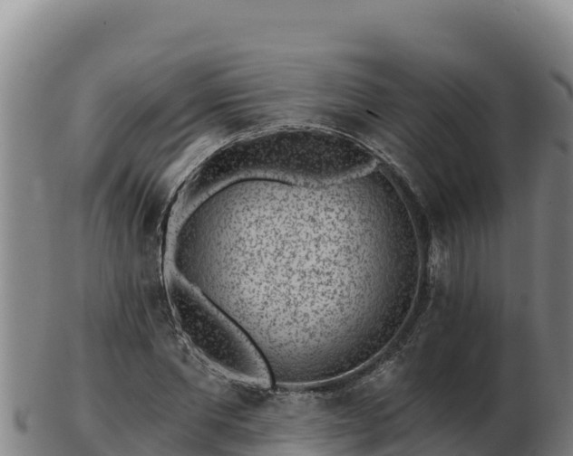 X0000103240877200809041044