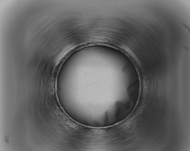 X0000103240878200809041044