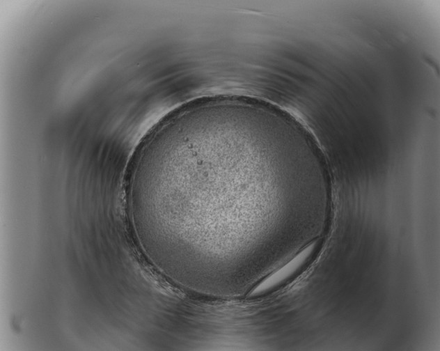 X0000103240879200809041044