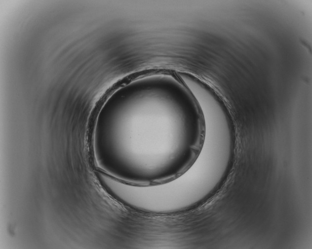 X0000103240880200809041044