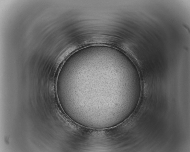 X0000103240882200809041044