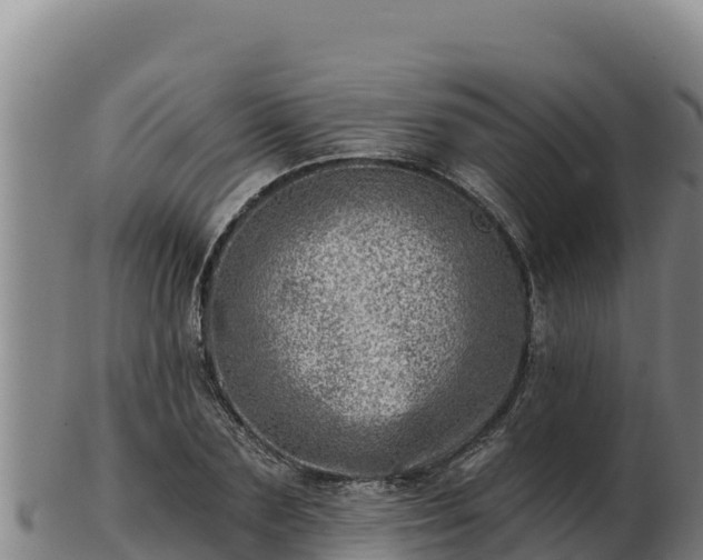 X0000103240883200809041044