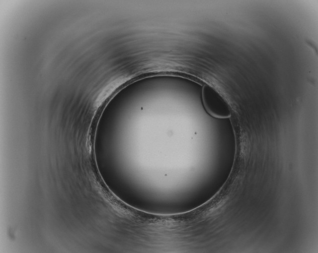 X0000103240885200809041044