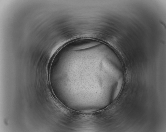 X0000103240886200809041044