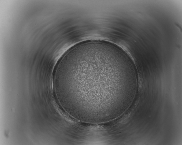 X0000103240887200809041044