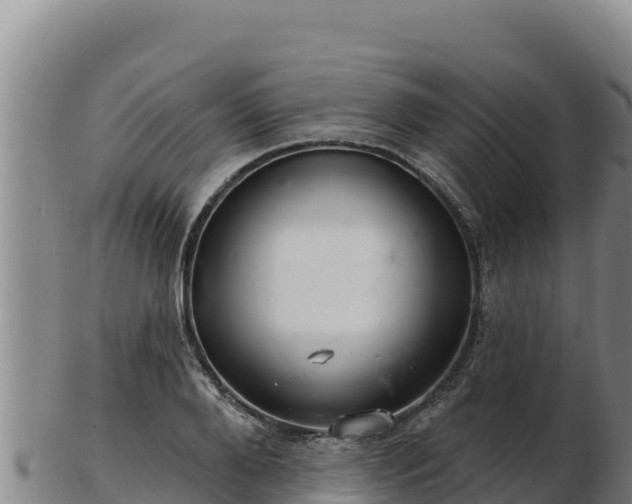 X0000103240888200809041044