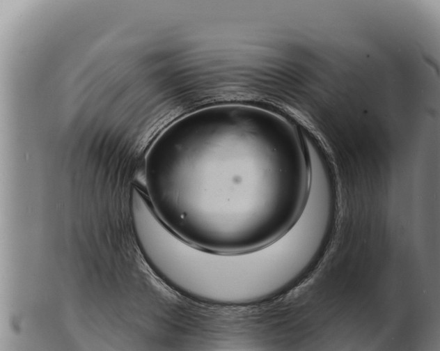 X0000103240889200809041044