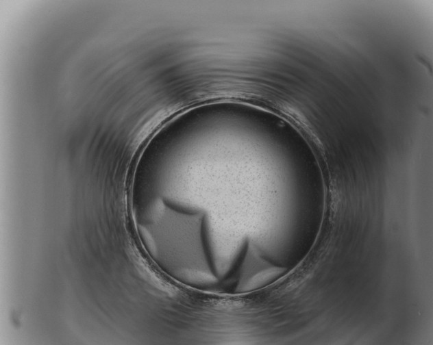 X0000103240890200809041044