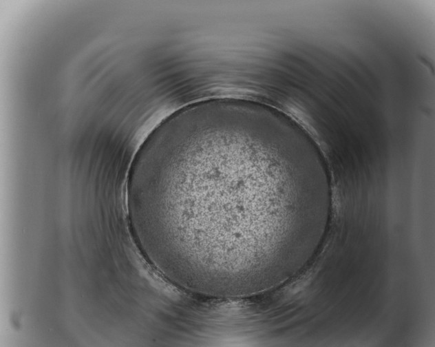 X0000103240891200809041044