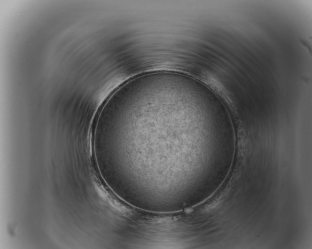 X0000103240892200809041044