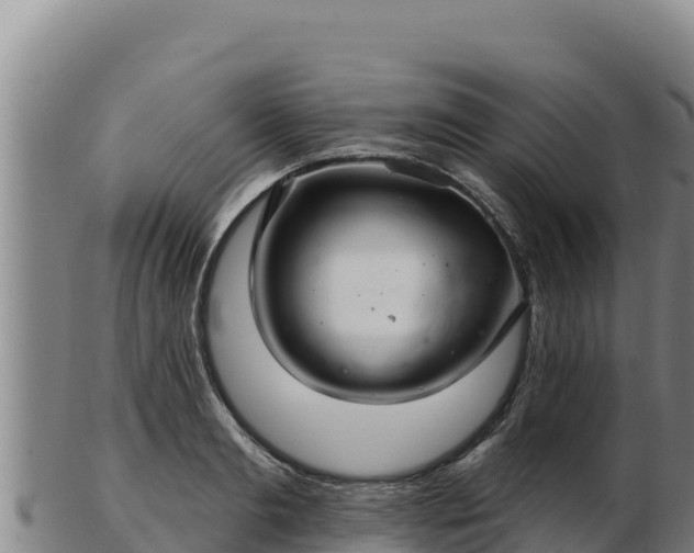 X0000103240893200809041044