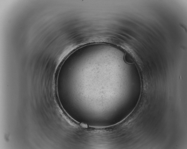 X0000103240894200809041044