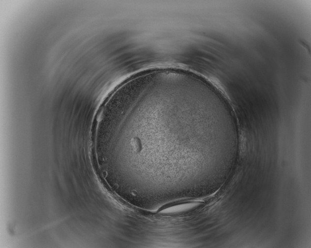 X0000103240895200809041044