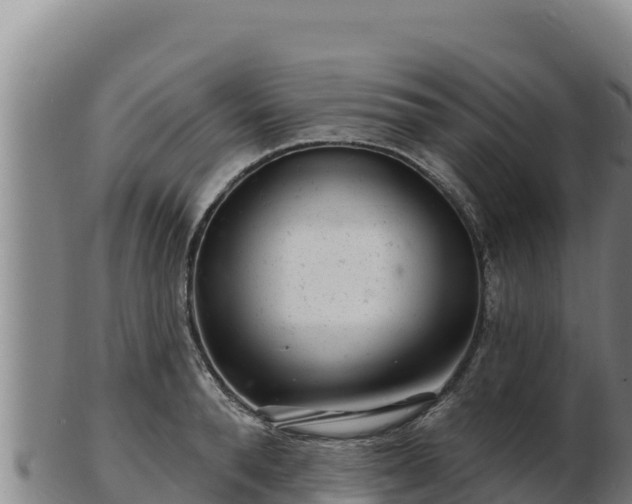 X0000103240896200809041044