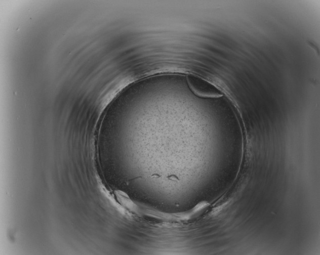 X0000103240898200809041044