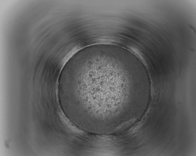 X0000103240899200809041044