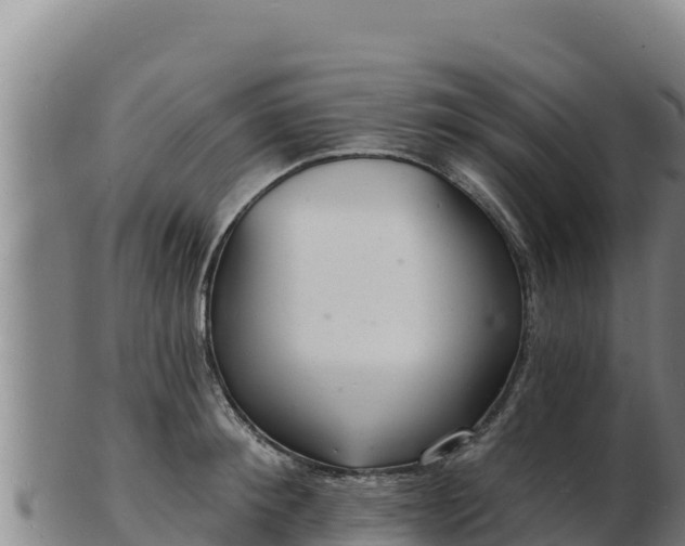 X0000103240900200809041044