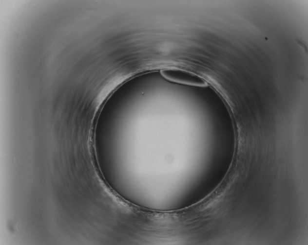 X0000103240901200809041044