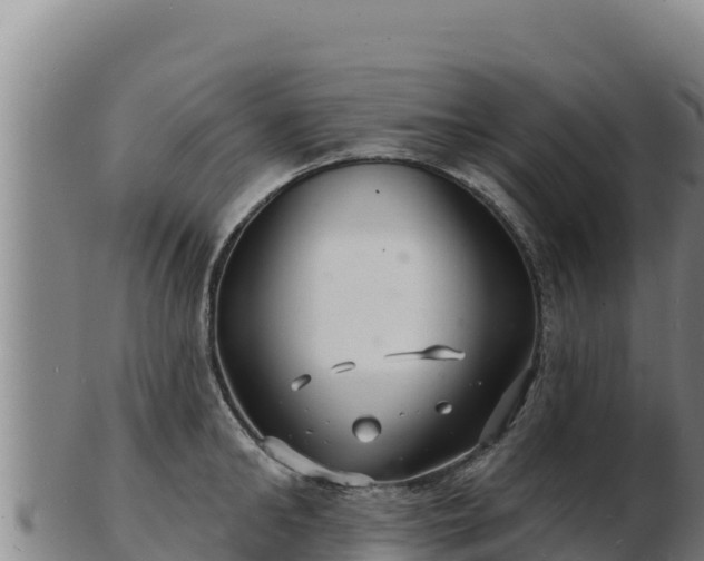 X0000103240902200809041044