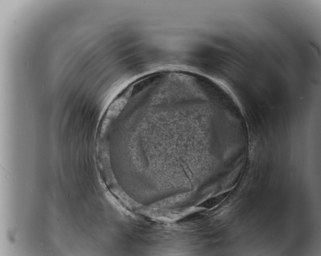 X0000103240903200809041044