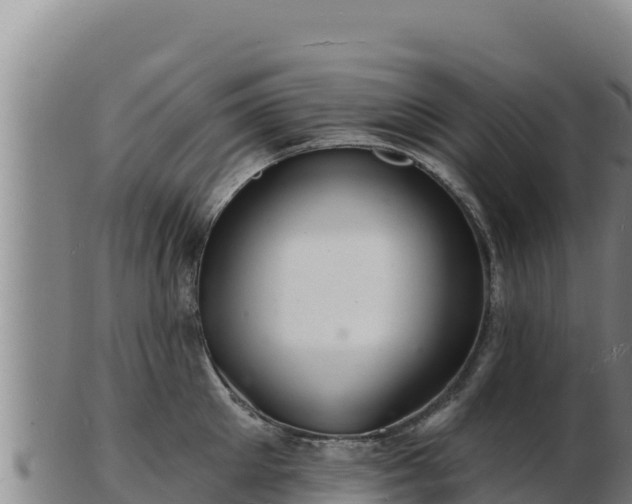 X0000103240905200809041044