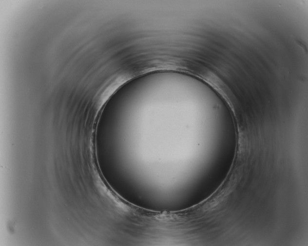 X0000103240906200809041044