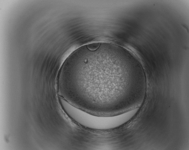 X0000103240907200809041044