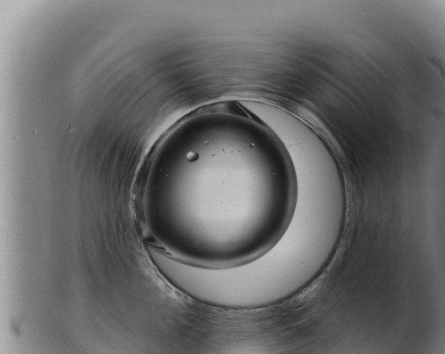 X0000103240908200809041044