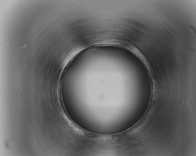 X0000103240909200809041044