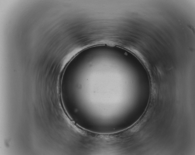 X0000103240910200809041044