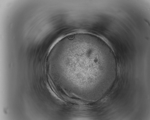 X0000103240911200809041044