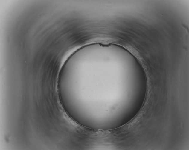 X0000103240912200809041044