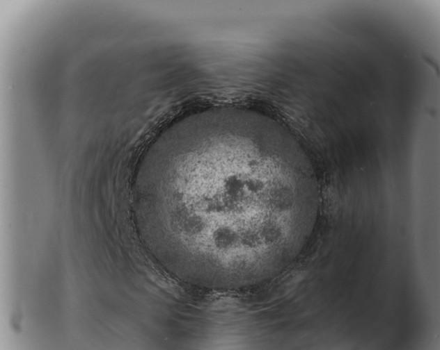 X0000103240913200809041043