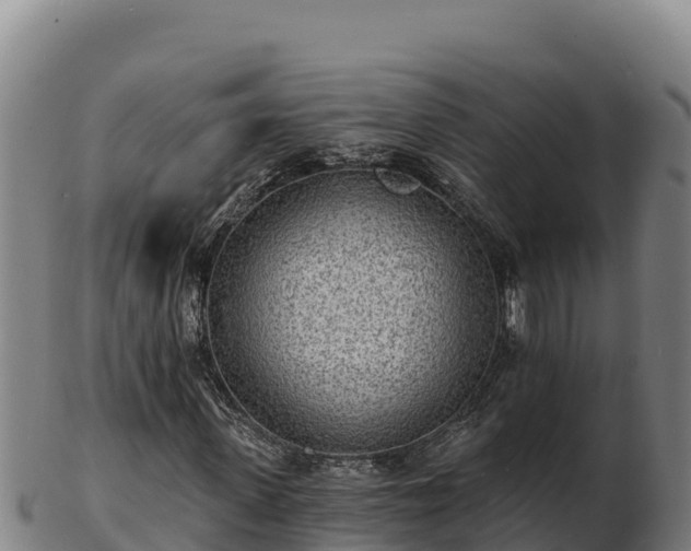 X0000103240915200809041043