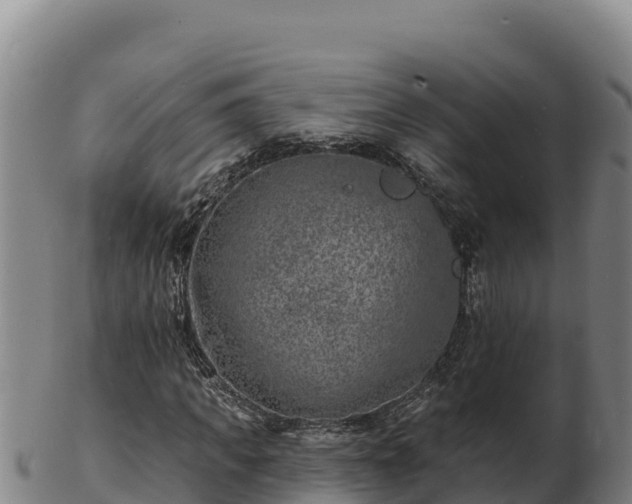 X0000103240917200809041043