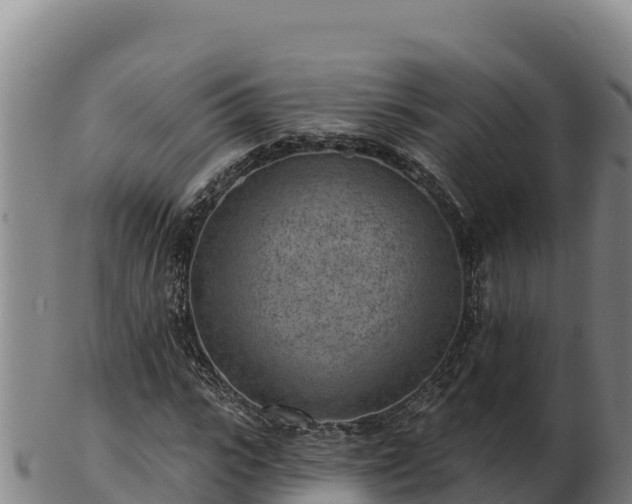 X0000103240919200809041043