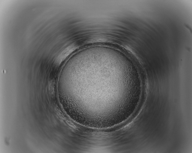 X0000103240921200809041043