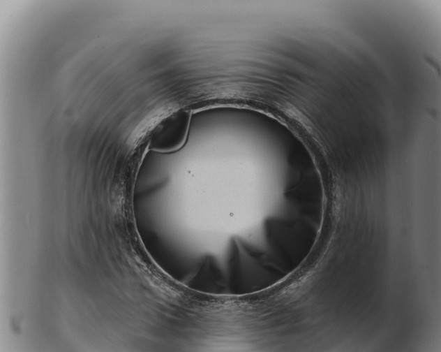 X0000103240922200809041043