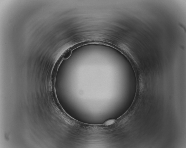 X0000103240924200809041043