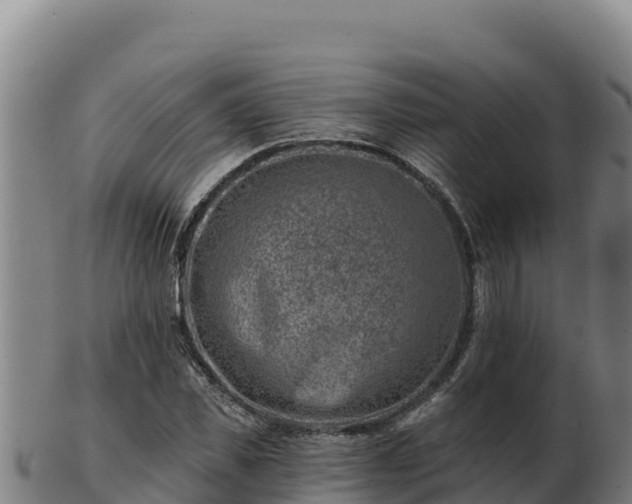 X0000103240925200809041043