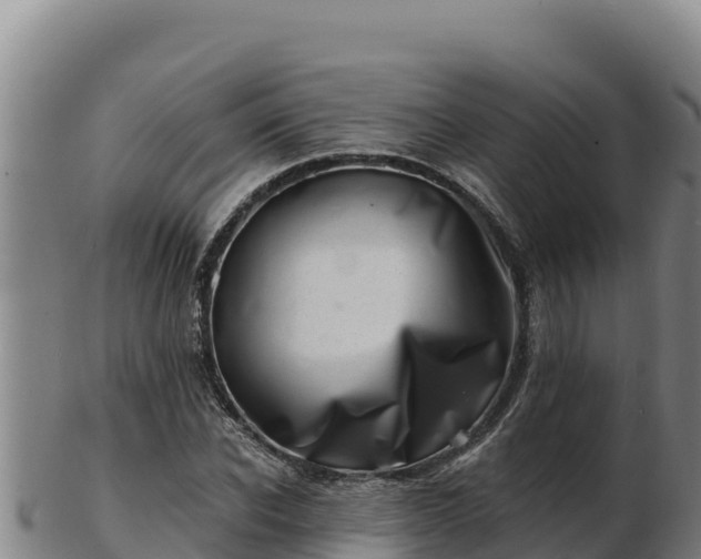 X0000103240926200809041043