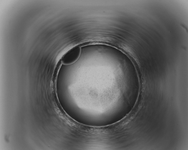 X0000103240928200809041043