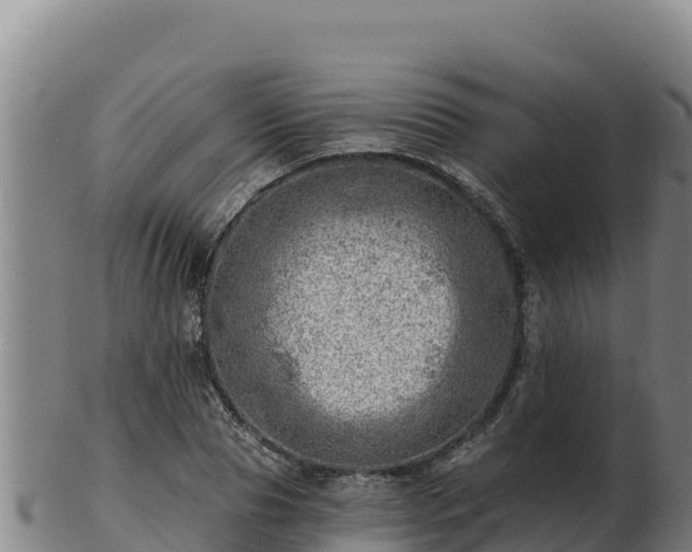 X0000103240929200809041043