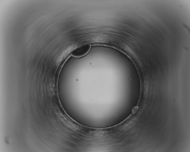 X0000103240930200809041043