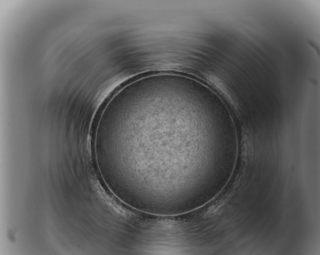 X0000103240932200809041043