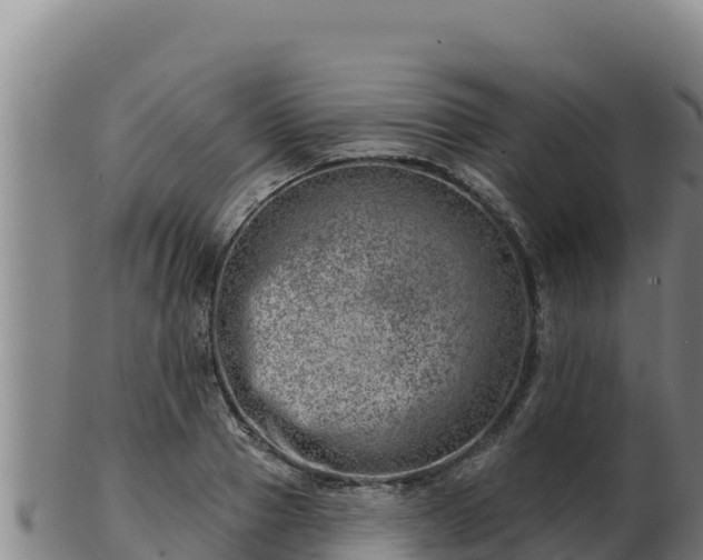 X0000103240937200809041043