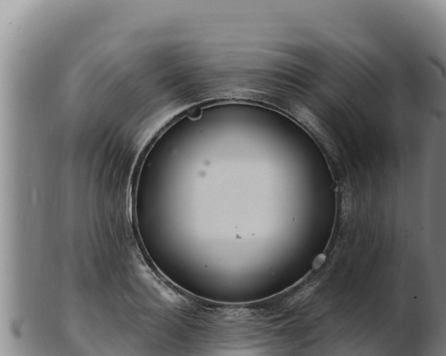 X0000103240940200809041043