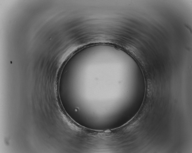 X0000103240942200809041044