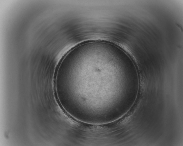 X0000103240943200809041044